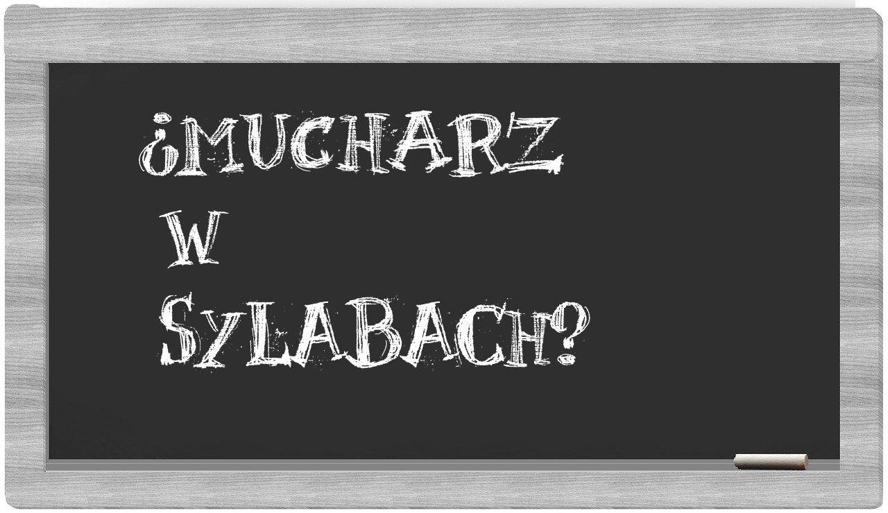 ¿Mucharz en sílabas?