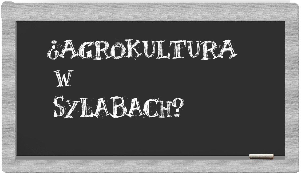 ¿agrokultura en sílabas?