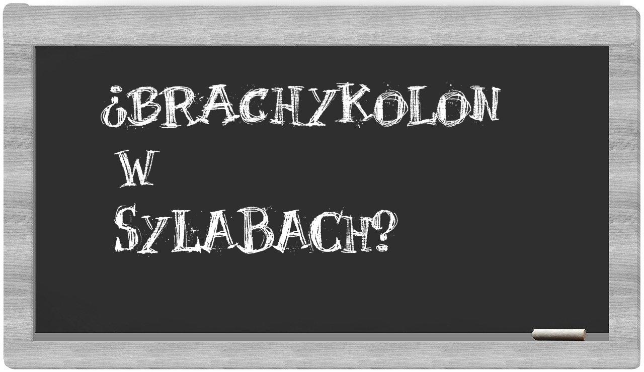 brachykolon in syllables